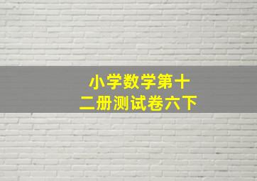 小学数学第十二册测试卷六下