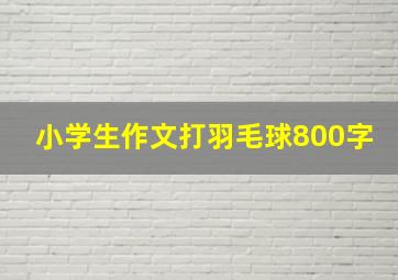 小学生作文打羽毛球800字