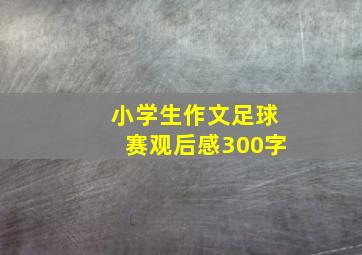 小学生作文足球赛观后感300字