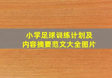 小学足球训练计划及内容摘要范文大全图片