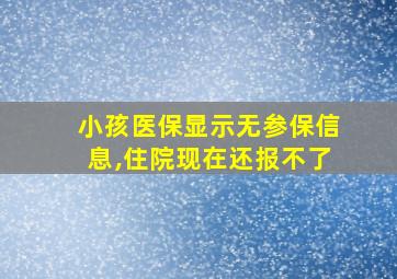 小孩医保显示无参保信息,住院现在还报不了