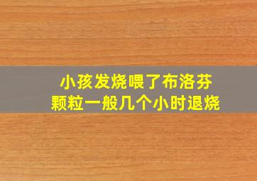 小孩发烧喂了布洛芬颗粒一般几个小时退烧