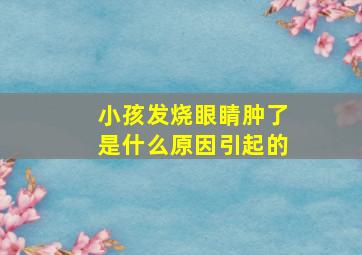 小孩发烧眼睛肿了是什么原因引起的