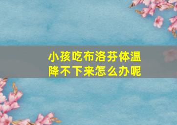 小孩吃布洛芬体温降不下来怎么办呢