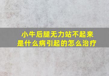 小牛后腿无力站不起来是什么病引起的怎么治疗