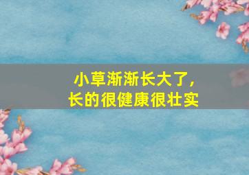 小草渐渐长大了,长的很健康很壮实