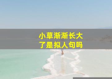 小草渐渐长大了是拟人句吗