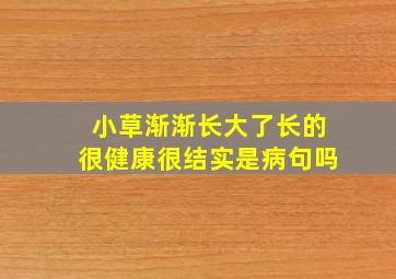 小草渐渐长大了长的很健康很结实是病句吗