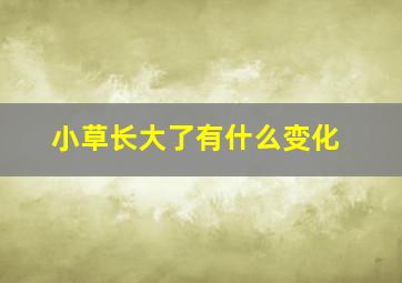 小草长大了有什么变化