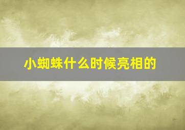 小蜘蛛什么时候亮相的