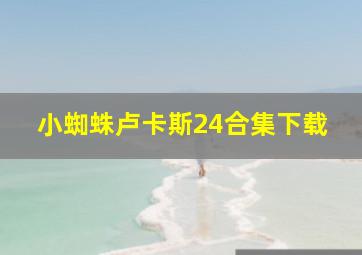 小蜘蛛卢卡斯24合集下载