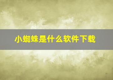 小蜘蛛是什么软件下载