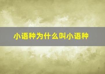 小语种为什么叫小语种