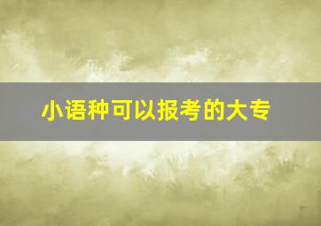 小语种可以报考的大专