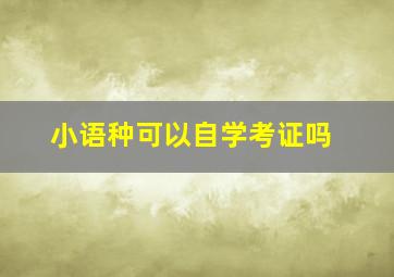 小语种可以自学考证吗