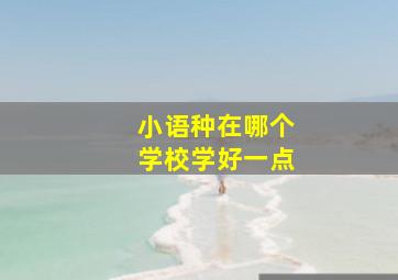 小语种在哪个学校学好一点