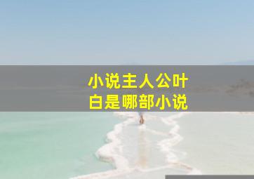 小说主人公叶白是哪部小说