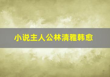 小说主人公林清雅韩愈