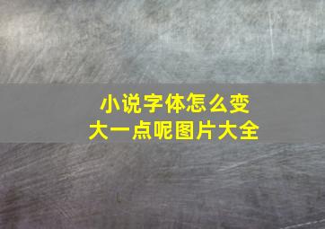 小说字体怎么变大一点呢图片大全