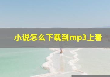 小说怎么下载到mp3上看