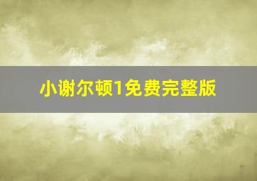 小谢尔顿1免费完整版