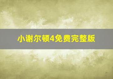 小谢尔顿4免费完整版