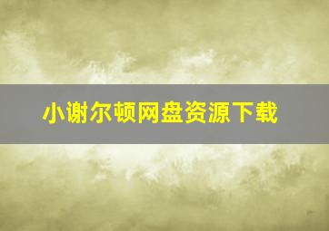 小谢尔顿网盘资源下载