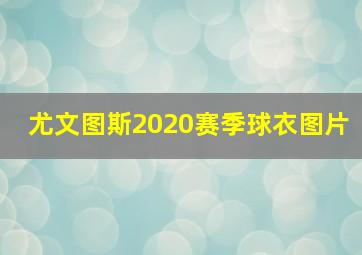 尤文图斯2020赛季球衣图片