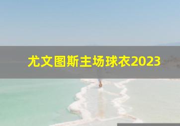 尤文图斯主场球衣2023