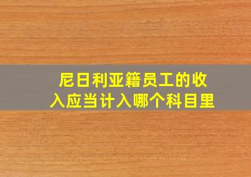 尼日利亚籍员工的收入应当计入哪个科目里