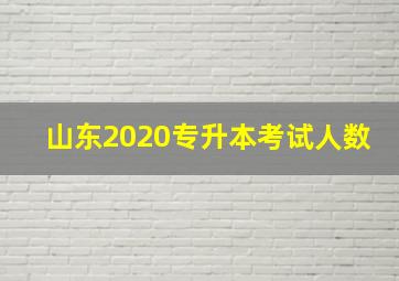 山东2020专升本考试人数