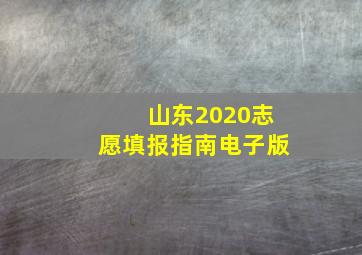 山东2020志愿填报指南电子版