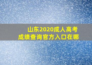 山东2020成人高考成绩查询官方入口在哪