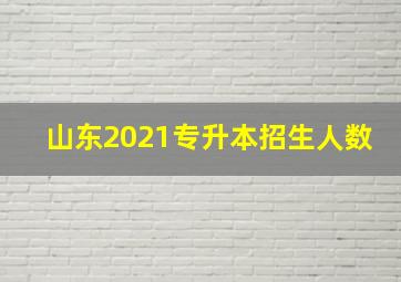 山东2021专升本招生人数