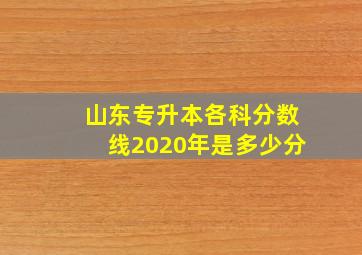 山东专升本各科分数线2020年是多少分