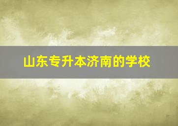 山东专升本济南的学校