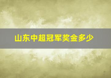 山东中超冠军奖金多少