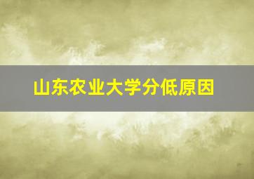 山东农业大学分低原因