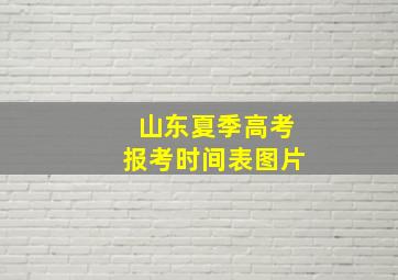 山东夏季高考报考时间表图片