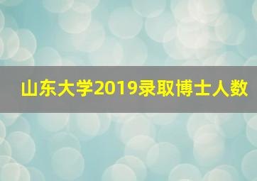 山东大学2019录取博士人数