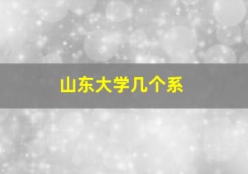 山东大学几个系