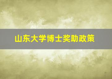 山东大学博士奖助政策