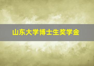 山东大学博士生奖学金