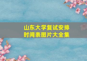 山东大学复试安排时间表图片大全集