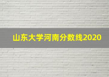 山东大学河南分数线2020