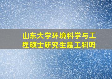 山东大学环境科学与工程硕士研究生是工科吗