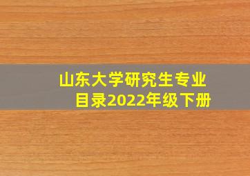 山东大学研究生专业目录2022年级下册