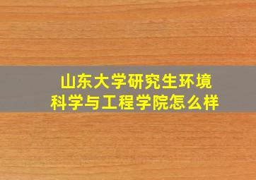 山东大学研究生环境科学与工程学院怎么样