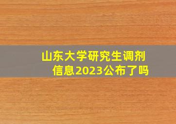 山东大学研究生调剂信息2023公布了吗