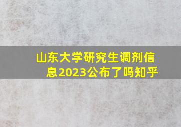 山东大学研究生调剂信息2023公布了吗知乎